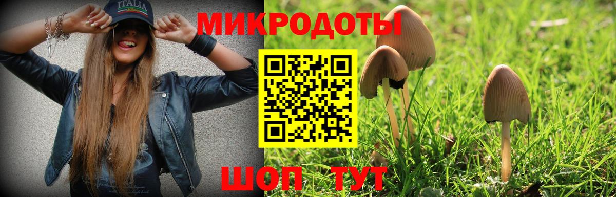 Псилоцибиновые грибы Cubensis Рассказово