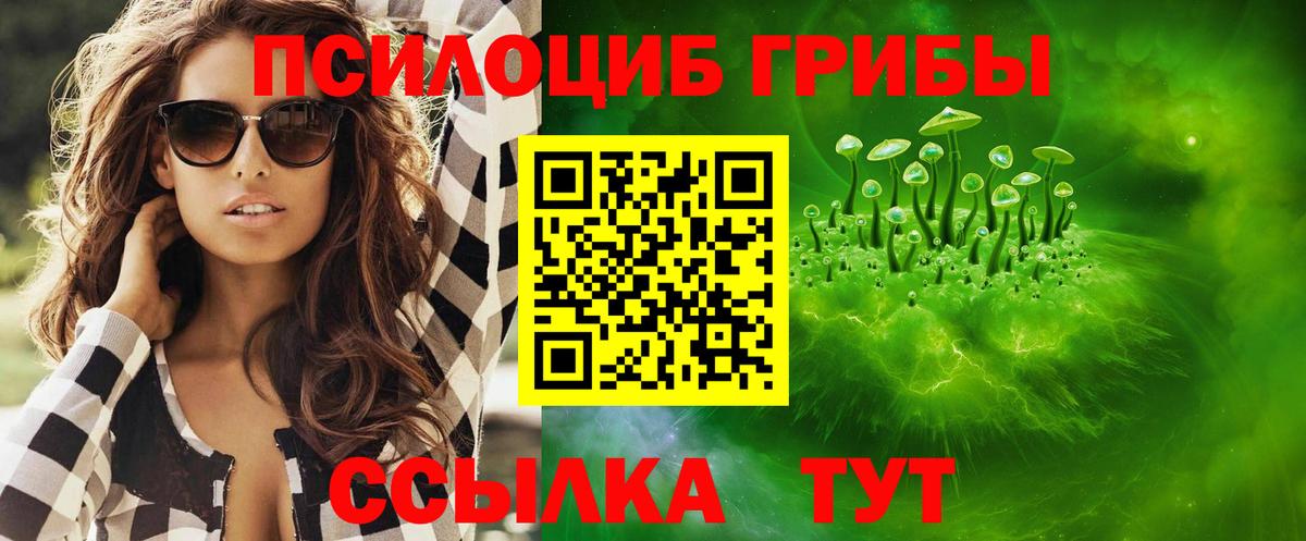 Рассказово  Галлюциногенные грибы GOLDEN TEACHER  Вход с VPN 