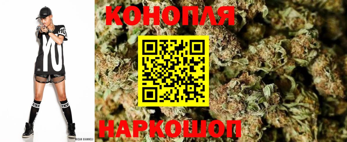Бошки марихуана сатива Рассказово